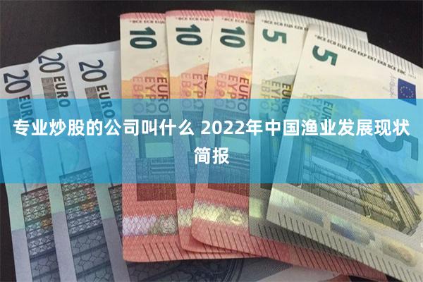 专业炒股的公司叫什么 2022年中国渔业发展现状简报