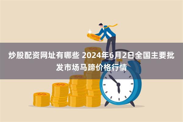 炒股配资网址有哪些 2024年6月2日全国主要批发市场马蹄价格行情