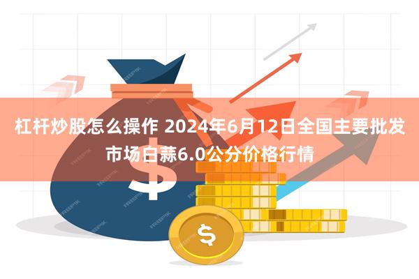 杠杆炒股怎么操作 2024年6月12日全国主要批发市场白蒜6.0公分价格行情