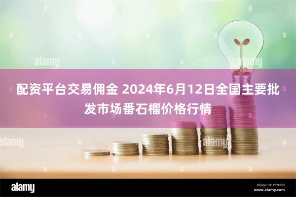 配资平台交易佣金 2024年6月12日全国主要批发市场番石榴价格行情