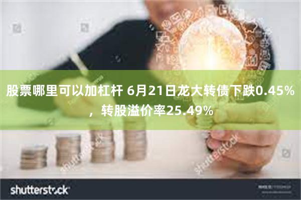 股票哪里可以加杠杆 6月21日龙大转债下跌0.45%，转股溢价率25.49%