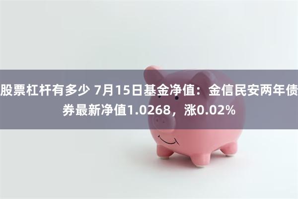 股票杠杆有多少 7月15日基金净值：金信民安两年债券最新净值1.0268，涨0.02%