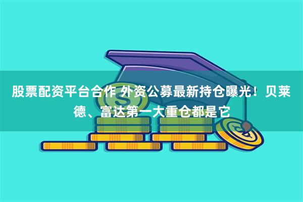 股票配资平台合作 外资公募最新持仓曝光！贝莱德、富达第一大重仓都是它