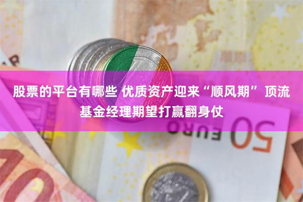 股票的平台有哪些 优质资产迎来“顺风期” 顶流基金经理期望打赢翻身仗