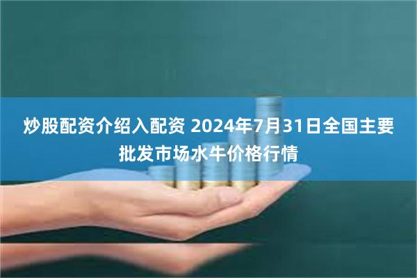 炒股配资介绍入配资 2024年7月31日全国主要批发市场水牛价格行情