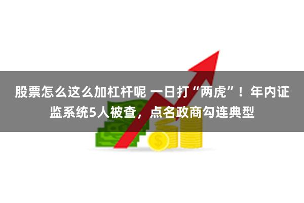 股票怎么这么加杠杆呢 一日打“两虎”！年内证监系统5人被查，点名政商勾连典型