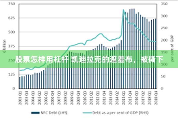 股票怎样用杠杆 凯迪拉克的遮羞布，被撕下