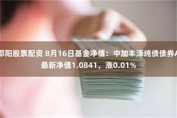 邵阳股票配资 8月16日基金净值：中加丰泽纯债债券A最新净值1.0841，涨0.01%