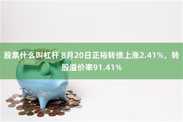 股票什么叫杠杆 8月20日正裕转债上涨2.41%，转股溢价率91.41%