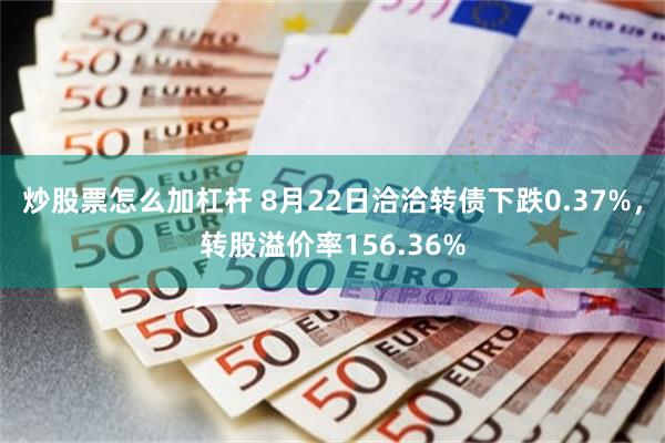 炒股票怎么加杠杆 8月22日洽洽转债下跌0.37%，转股溢价率156.36%