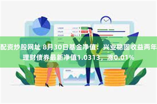 配资炒股网址 8月30日基金净值：兴业稳固收益两年理财债券最新净值1.0313，涨0.01%