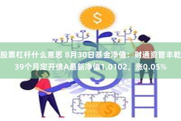 股票杠杆什么意思 8月30日基金净值：财通资管丰乾39个月定开债A最新净值1.0102，涨0.05%