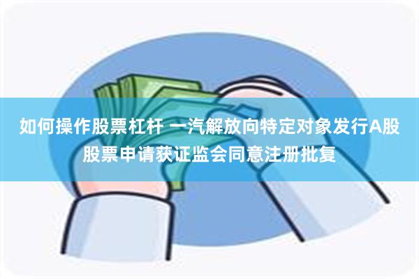 如何操作股票杠杆 一汽解放向特定对象发行A股股票申请获证监会同意注册批复