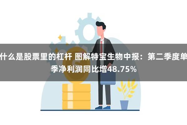 什么是股票里的杠杆 图解特宝生物中报：第二季度单季净利润同比增48.75%