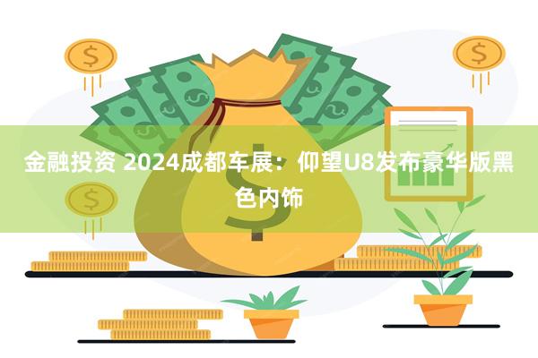 金融投资 2024成都车展：仰望U8发布豪华版黑色内饰