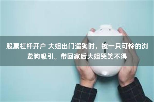 股票杠杆开户 大姐出门遛狗时，被一只可怜的浏览狗吸引。带回家后大姐哭笑不得