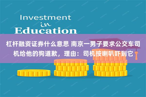 杠杆融资证券什么意思 南京一男子要求公交车司机给他的狗道歉，理由：司机按喇叭吓到它