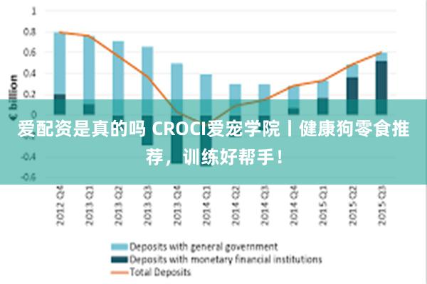 爱配资是真的吗 CROCI爱宠学院丨健康狗零食推荐，训练好帮手！