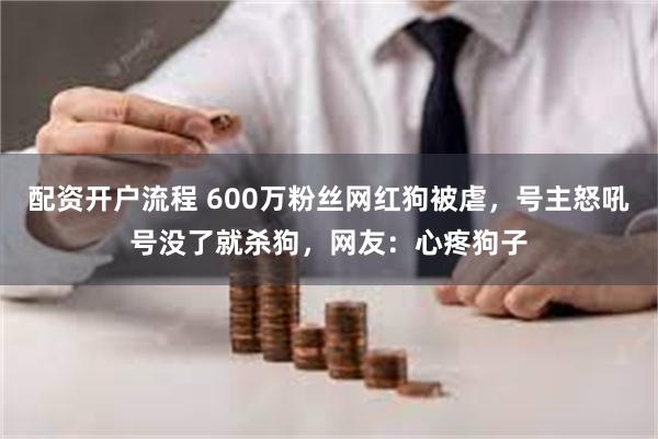 配资开户流程 600万粉丝网红狗被虐，号主怒吼号没了就杀狗，网友：心疼狗子