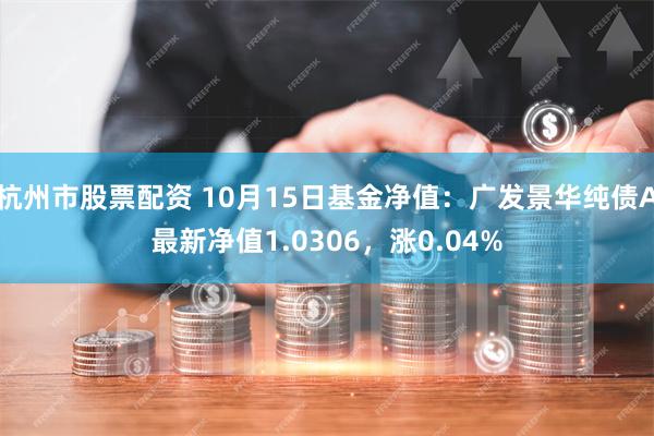 杭州市股票配资 10月15日基金净值：广发景华纯债A最新净值1.0306，涨0.04%