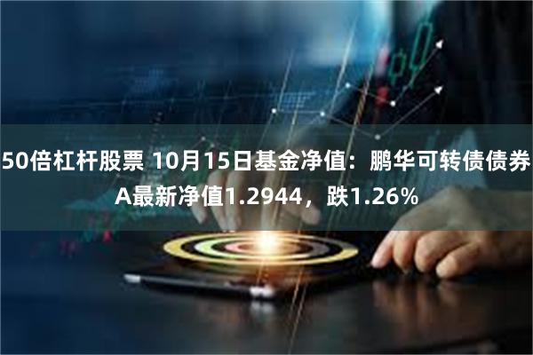 50倍杠杆股票 10月15日基金净值：鹏华可转债债券A最新净值1.2944，跌1.26%