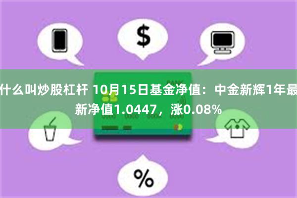 什么叫炒股杠杆 10月15日基金净值：中金新辉1年最新净值1.0447，涨0.08%