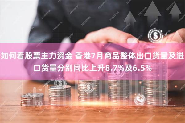 如何看股票主力资金 香港7月商品整体出口货量及进口货量分别同比上升8.7%及6.5%