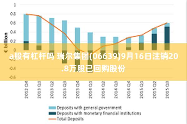 a股有杠杆吗 瑞尔集团(06639)9月16日注销20.8万股已回购股份