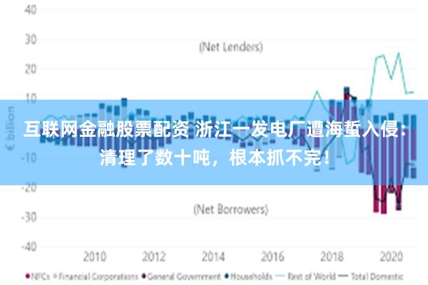 互联网金融股票配资 浙江一发电厂遭海蜇入侵：清理了数十吨，根本抓不完！