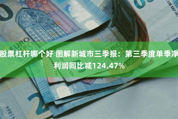 股票杠杆哪个好 图解新城市三季报：第三季度单季净利润同比减124.47%