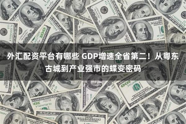 外汇配资平台有哪些 GDP增速全省第二！从粤东古城到产业强市的蝶变密码