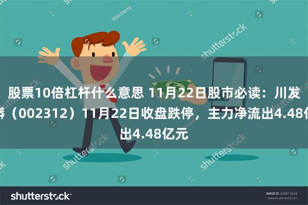 股票10倍杠杆什么意思 11月22日股市必读：川发龙蟒（002312）11月22日收盘跌停，主力净流出4.48亿元