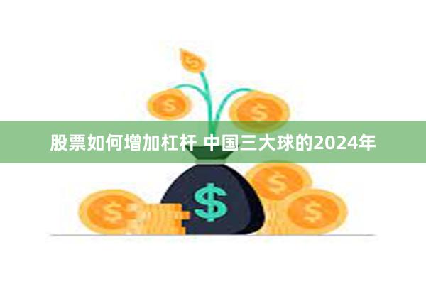 股票如何增加杠杆 中国三大球的2024年