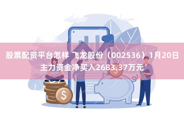 股票配资平台怎样 飞龙股份（002536）1月20日主力资金净买入2683.37万元